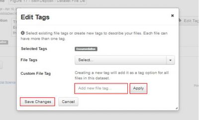 Custom File Tags option.JPG
