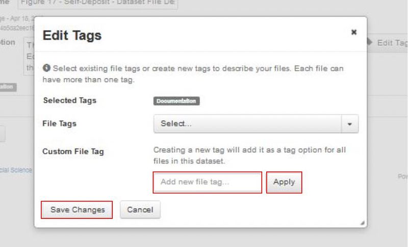 File:Custom File Tags option.JPG
